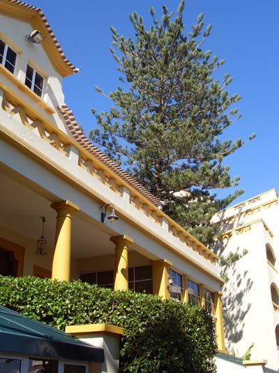 Pestana Palms 4* 