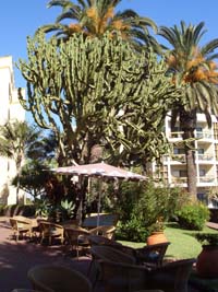 Pestana Palms 4* 